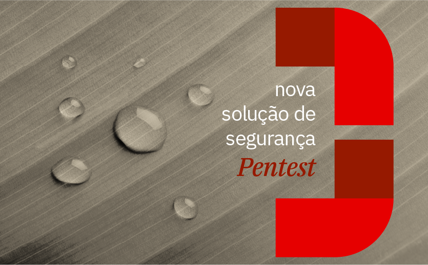 RTM passa a oferecer Pentest